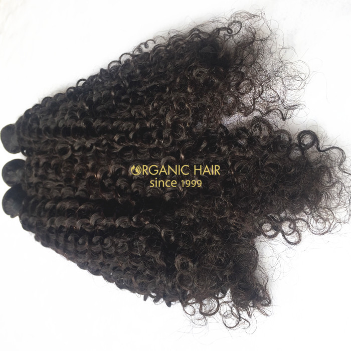  Wholesale virgin brazilian curly hairextensions